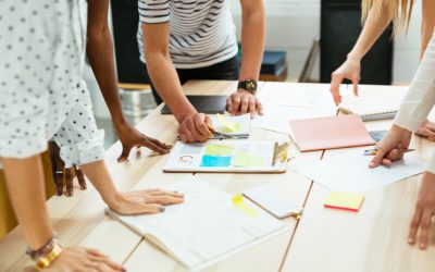 Establishing a Working Structure for Long-term Growth