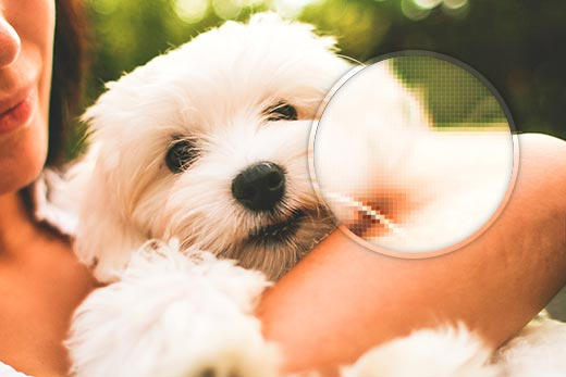 Share High-Quality Images without Losing Quality